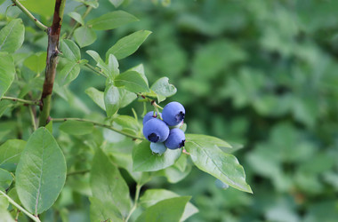 Similar image 21237687