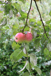 Similar image 21237692