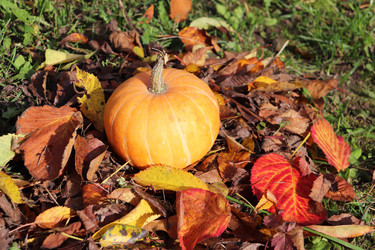 Similar image 21237699