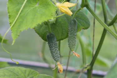 Similar image 21237701