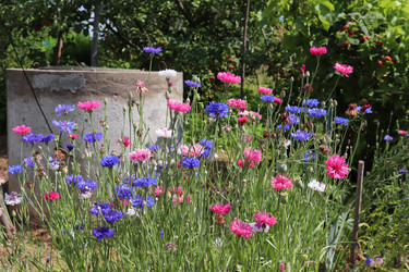 Similar image 21237705