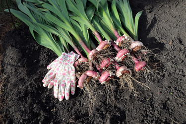 Similar image 21233638