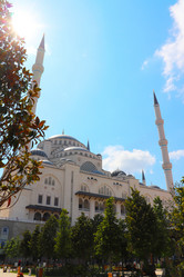 Similar image 21237723