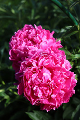 Similar image 21237728