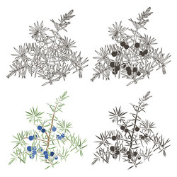 Similar image 21245569