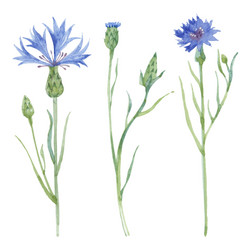 Similar image 21245480