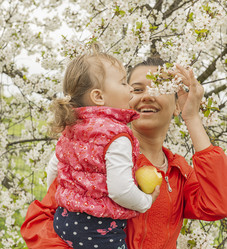 Similar image 21233684