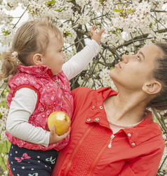 Similar image 21233691