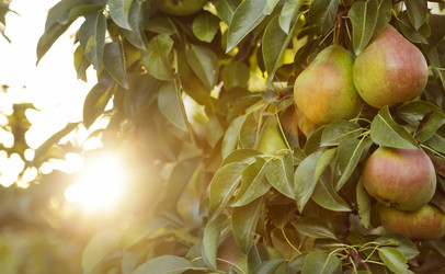 Similar image 21233697