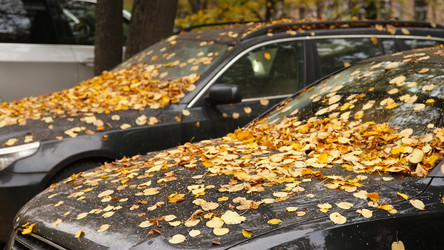 Similar image 21233698