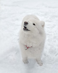 Similar image 21246432