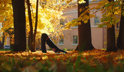 Similar image 21237279