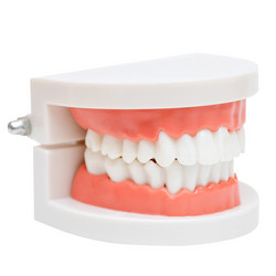 Similar image 21249268