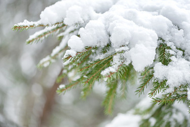 Similar image 21249271