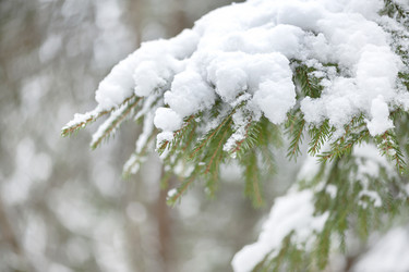 Similar image 21249272