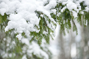 Similar image 21249275