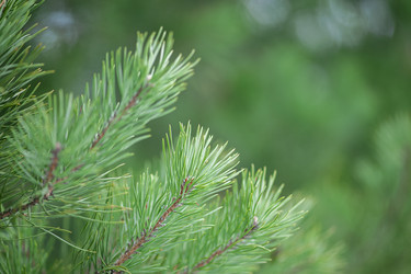 Similar image 21249276