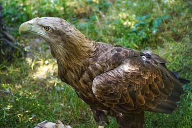 Similar image 21233619