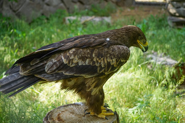 Similar image 21233622