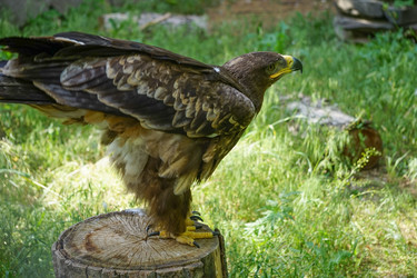 Similar image 21234457