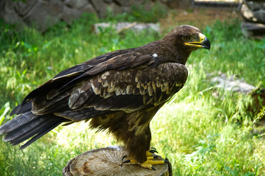 Similar image 21234458