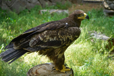 Similar image 21239367