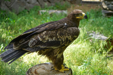 Similar image 21234459