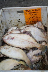 Similar image 21233722