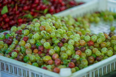 Similar image 21233729