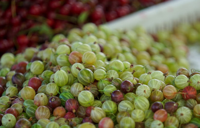 Similar image 21233730