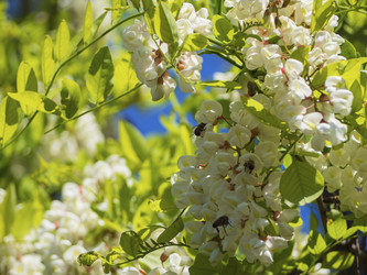 Similar image 21236141