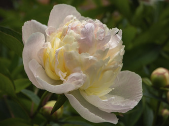 Similar image 21236143