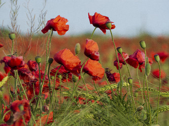 Similar image 21236144