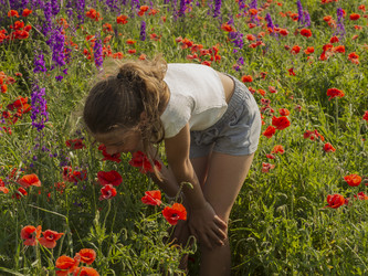 Similar image 21236145