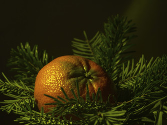 Similar image 21236148