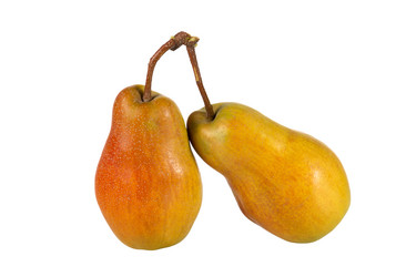 Similar image 21237228