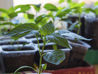 Similar image 21236158