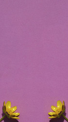 Similar image 21236162