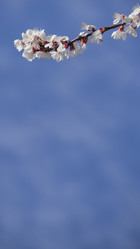 Similar image 21236163