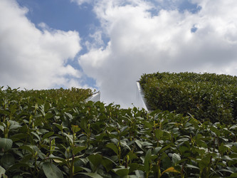 Similar image 21236166