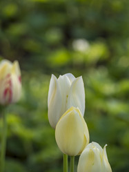 Similar image 21236168