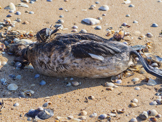 Similar image 21236170