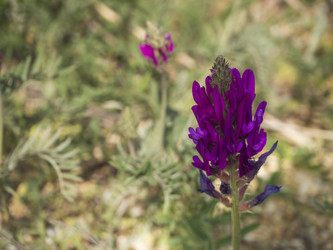 Similar image 21236172