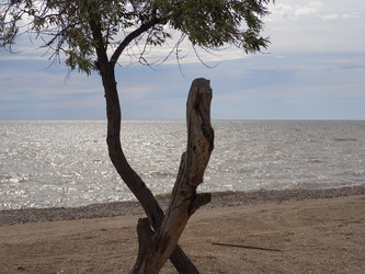 Similar image 21236174