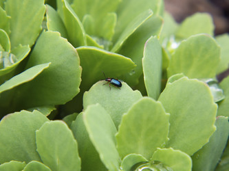 Similar image 21236176