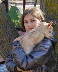 Similar image 21236177