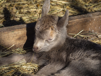 Similar image 21236178