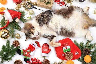 Similar image 21237378