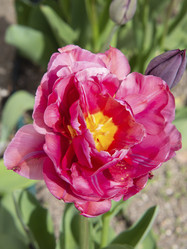 Similar image 21236182