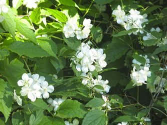 Similar image 21236187